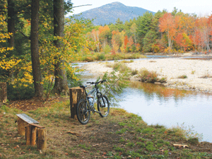 Biking: Swift wow for Albany Town Forest trails
