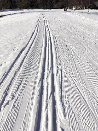 Nordic Tracks - Wentworth Golf Course with manmade snow