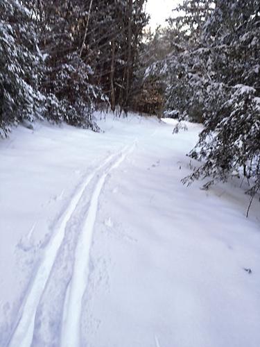 Nordic Tracks - Feb. 17