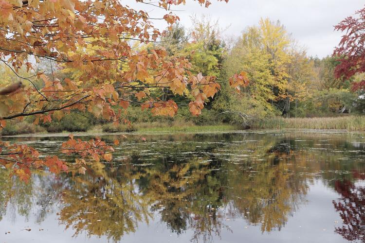 10-21-23 Pequawket Foliage horizontal medium