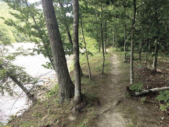 Wheel Family Fun - Thorne Pond - Single-track trails