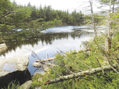 7-24-2021-Parsons-Lost Pond