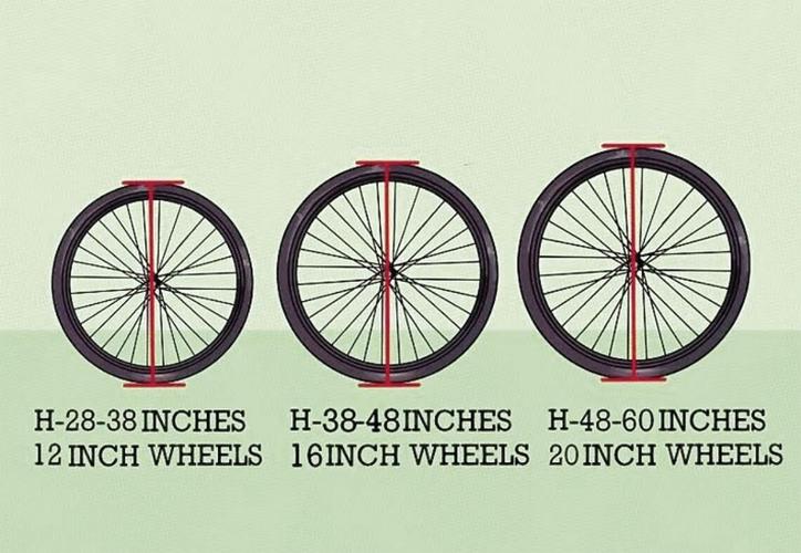 Wheel Famiy Fun - right wheel diameter