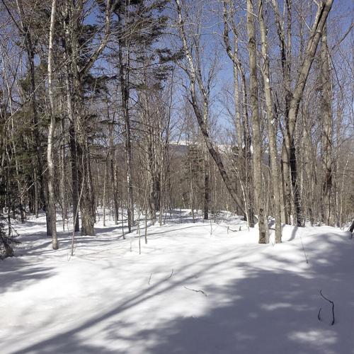 Nordic Tracks - North Hall Trail