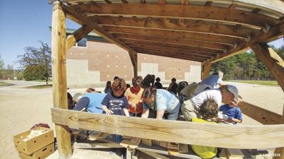 Birdhouse-New Suncock