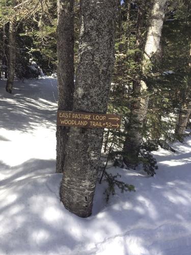 Nordic Track — March 29