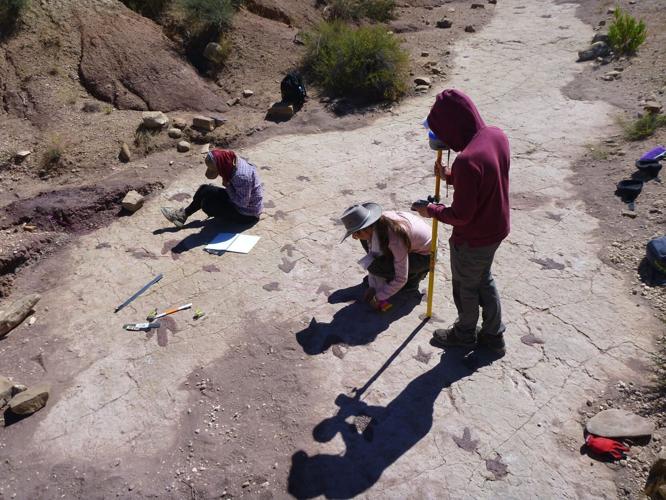 Researchers discover world’s busiest dinosaur superhighway