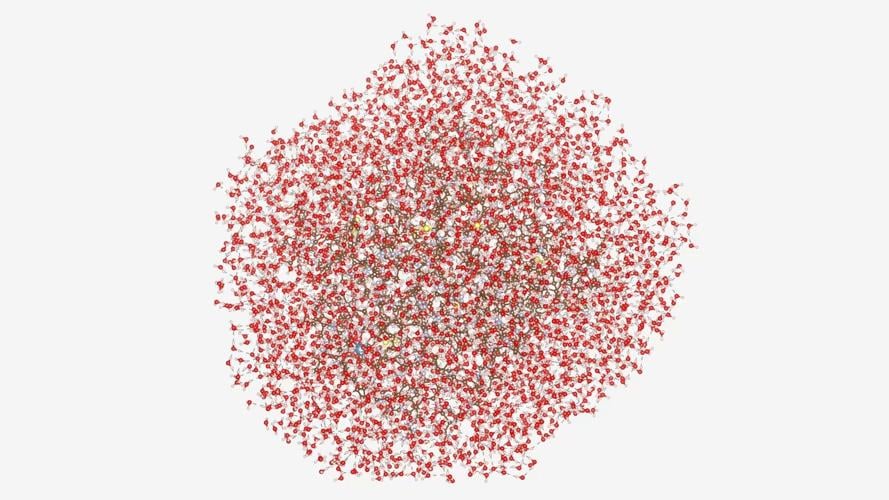 Cleveland Clinic, RIKEN, and IBM Model a 12,635-Atom Protein - the Largest Known to Be Simulated with Quantum Computers