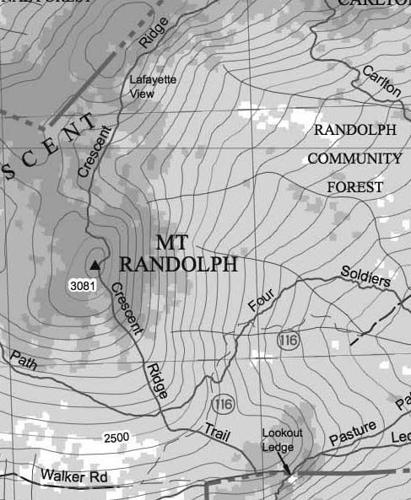 Viewshed Clearing on Mount Randolph