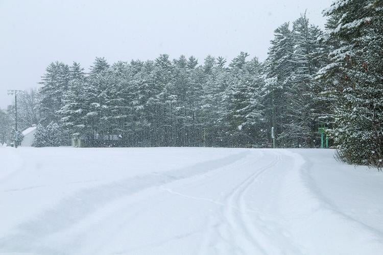 01-26-25 Snowstorm whitaker wide