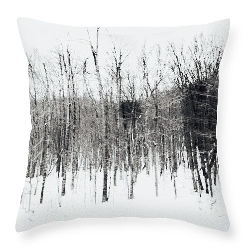 forest-and-trees-steffanie-alexander.jpg