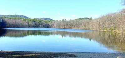 North Country Angling - unnamed pond