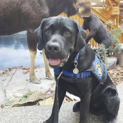 Samuel H. Wentworth Library-Service Dog demonstration