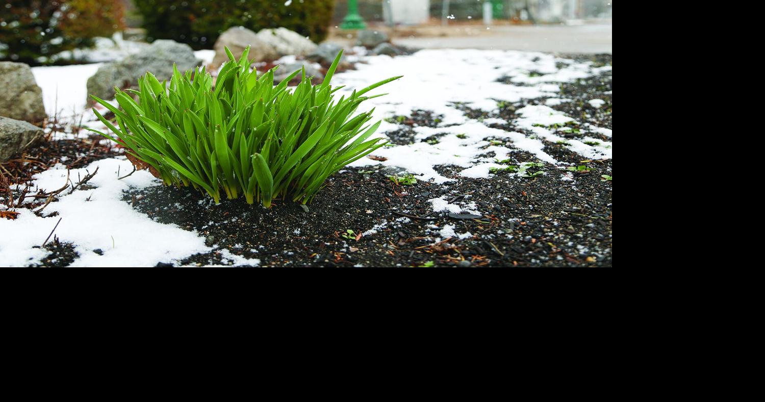 Despite brief snowfall, April drier than normal | News | conwaydailysun.com