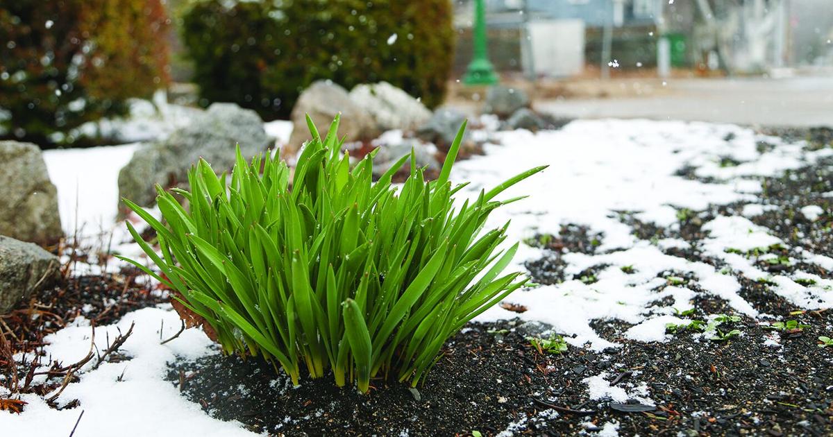 Despite brief snowfall, April drier than normal | News | conwaydailysun.com