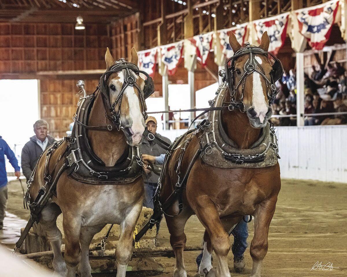 Fryeburg Fair Schedule 2024 Dates Mavis Shirley