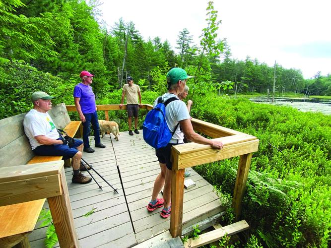 Tin Mountain Wander - Chase pond 1.jpg