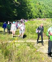 A migration for a cause