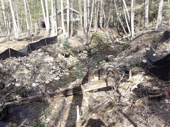 Wheel Family Fun - the banks of Artist Falls Brook