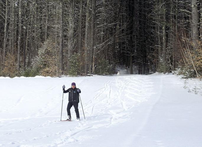 Nordic Tracks - A skier comes out of Purity Spring's woods