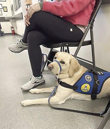 Jonesy update - laying down