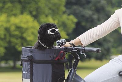 8-4-2023 Basch-Biking with your dog