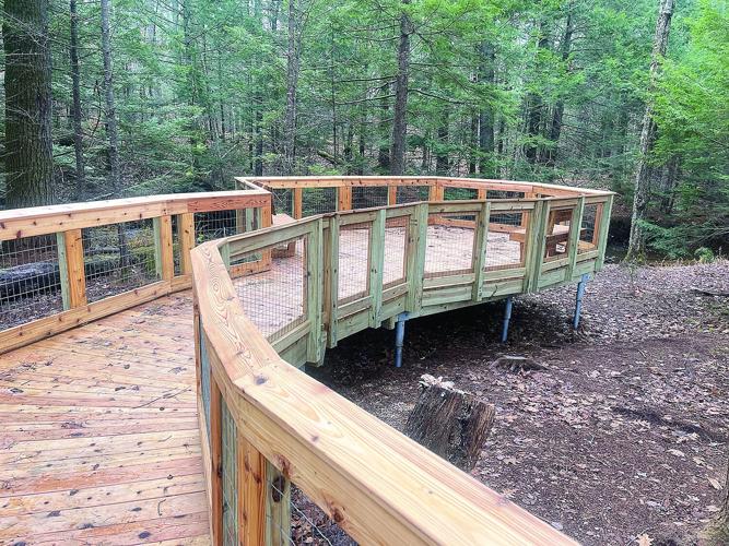 Hiking - Tamworth's new accessible trail platform