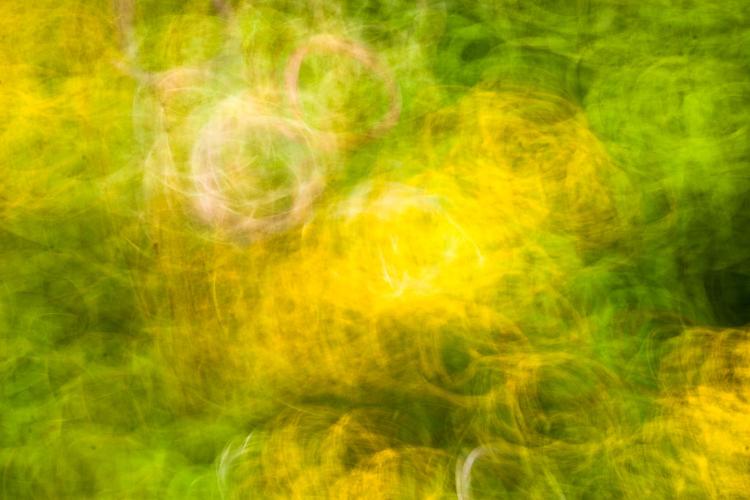 abstract-1 copy 2.jpg