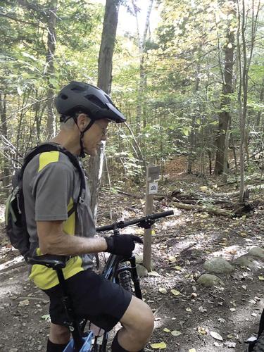 Wheel Famiy Fun - Bill Anderson