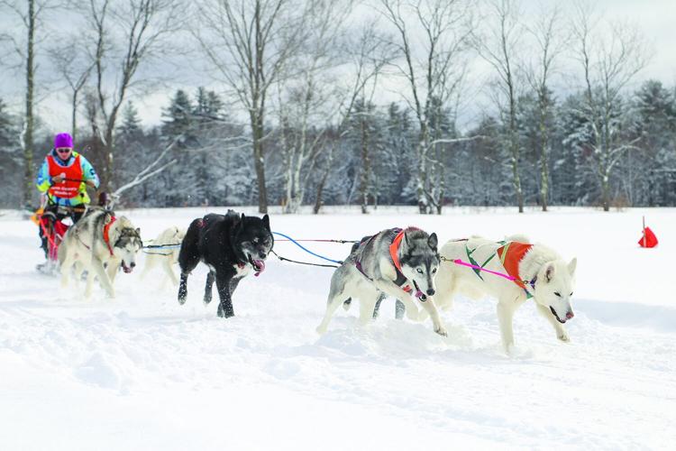 02-28-26 TOC Sled Dog start jump