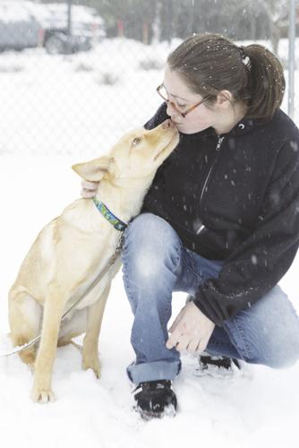 Conway Area Humane Society Adoption Counselor