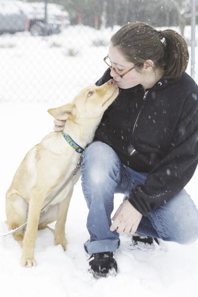 Conway Area Humane Society Adoption Counselor