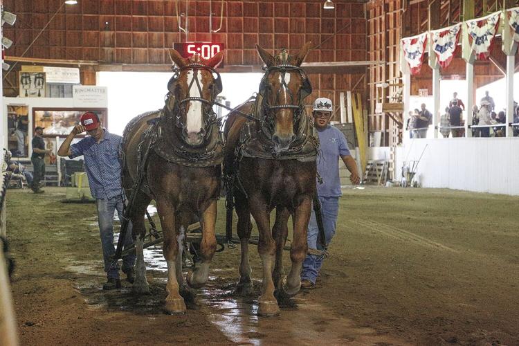 10-01-23 Fryeburg Fair horse pulling front