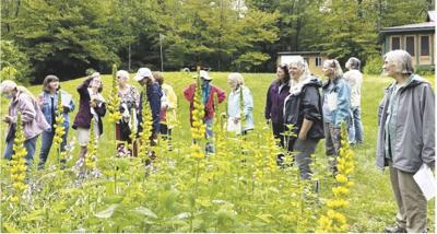 Green Mountain Conservation Group-Pollinator's Program