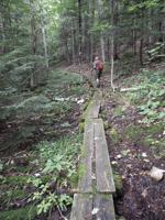 Wheel Family Fun: Exploring the Lower Nanamocomuck Ski Trail