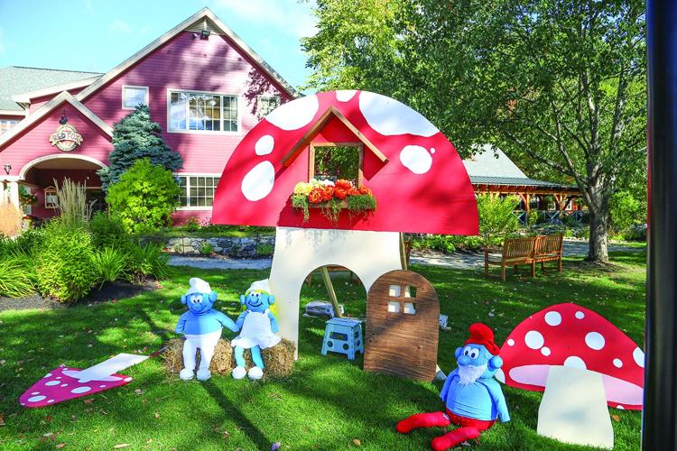 10-01-25 Pumpkin People red fox angled