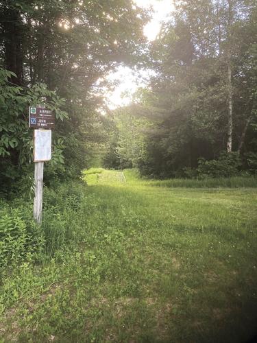 Nordic Tracks - Jackson XC grassy field