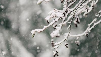 Record snowfalls in Maine history