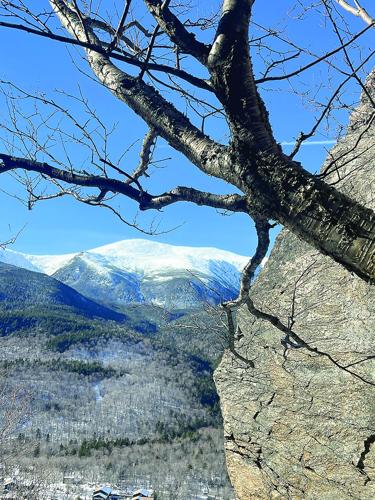 Hiking - View of Mount Washington