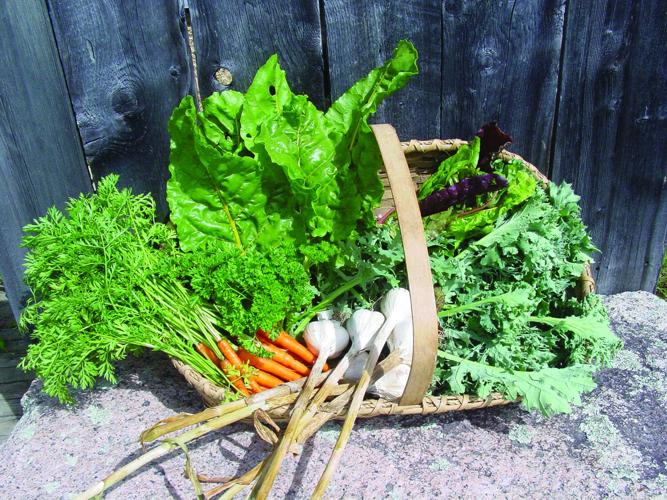 Weeding healthyharvest.JPG
