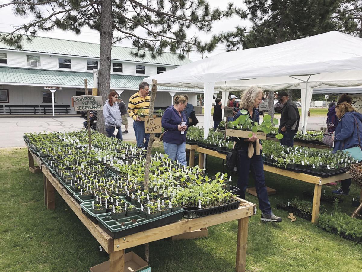 home garden flower show launching multi-day ticket | local news