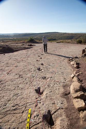 Researchers discover world’s busiest dinosaur superhighway