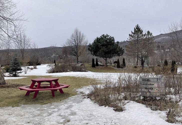 Photo of Laura Lee Viger park