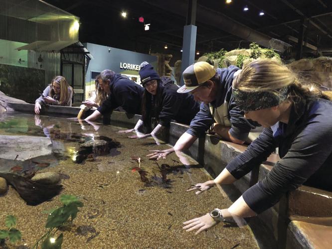 11-9-19 VV Living Shores.jpg