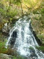 Hiking: Savoring the Castle in the Clouds Conservation Area