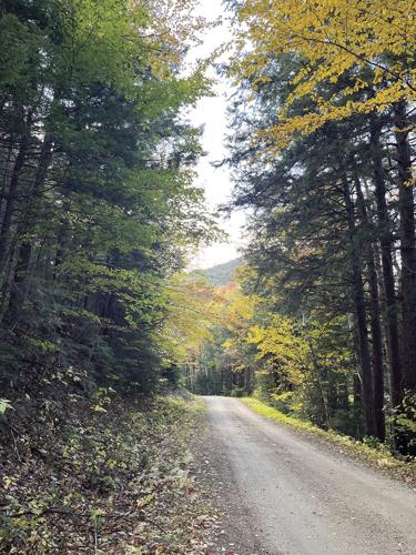 Wheel Family Fun - Near the top of Bartlett Experimental Forest