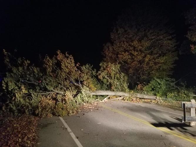Westside road tree fell Oct 15