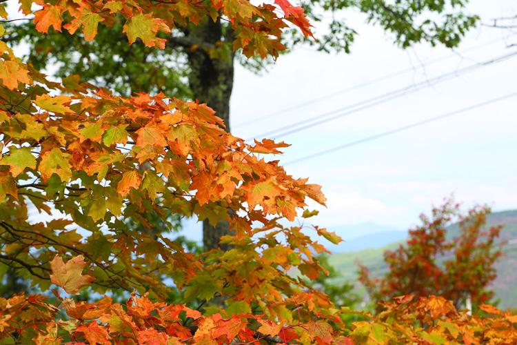 09-13-25 Foliage on Cranmore medium
