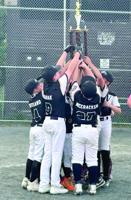 Dover ends MWV U10 state tournament run 6-5