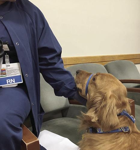 ACTS - Diggers at cancer center